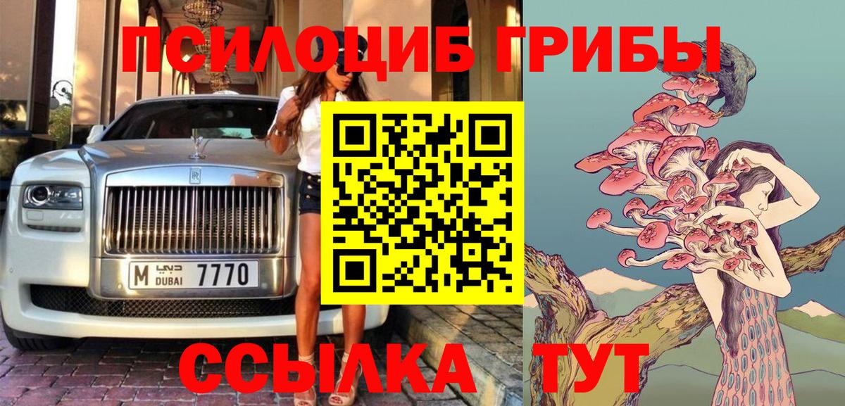 Псилоцибиновые грибы MAGIC MUSHROOMS  Вход с VPN  Беслан 