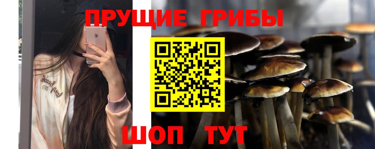 Псилоцибиновые грибы MAGIC MUSHROOMS Беслан